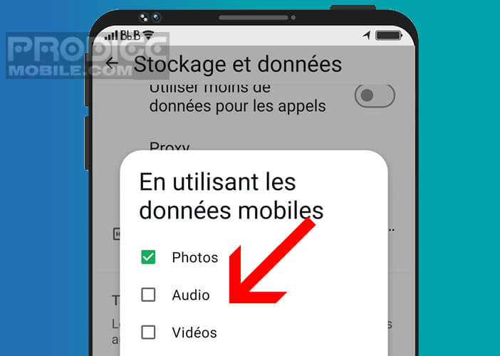 Choisir le type de média à télécharger automatiquement sur WhatsApp